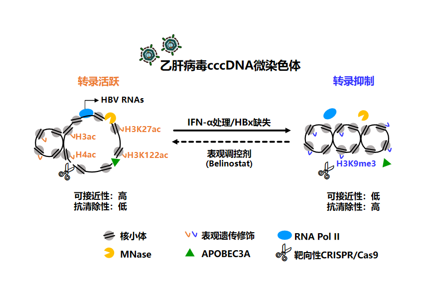 微信截图_20211209142211.png